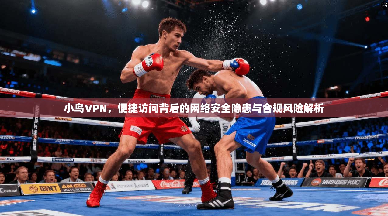 小鸟VPN，便捷访问背后的网络安全隐患与合规风险解析
