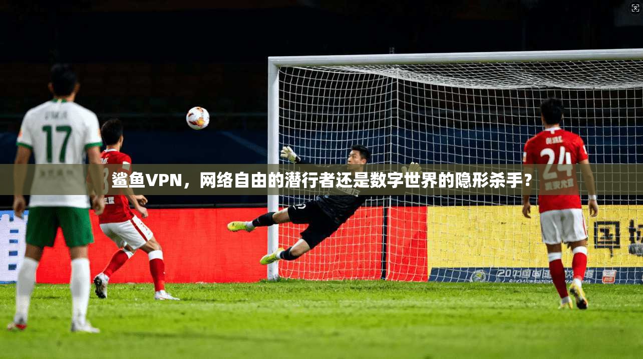 鲨鱼VPN，网络自由的潜行者还是数字世界的隐形杀手？