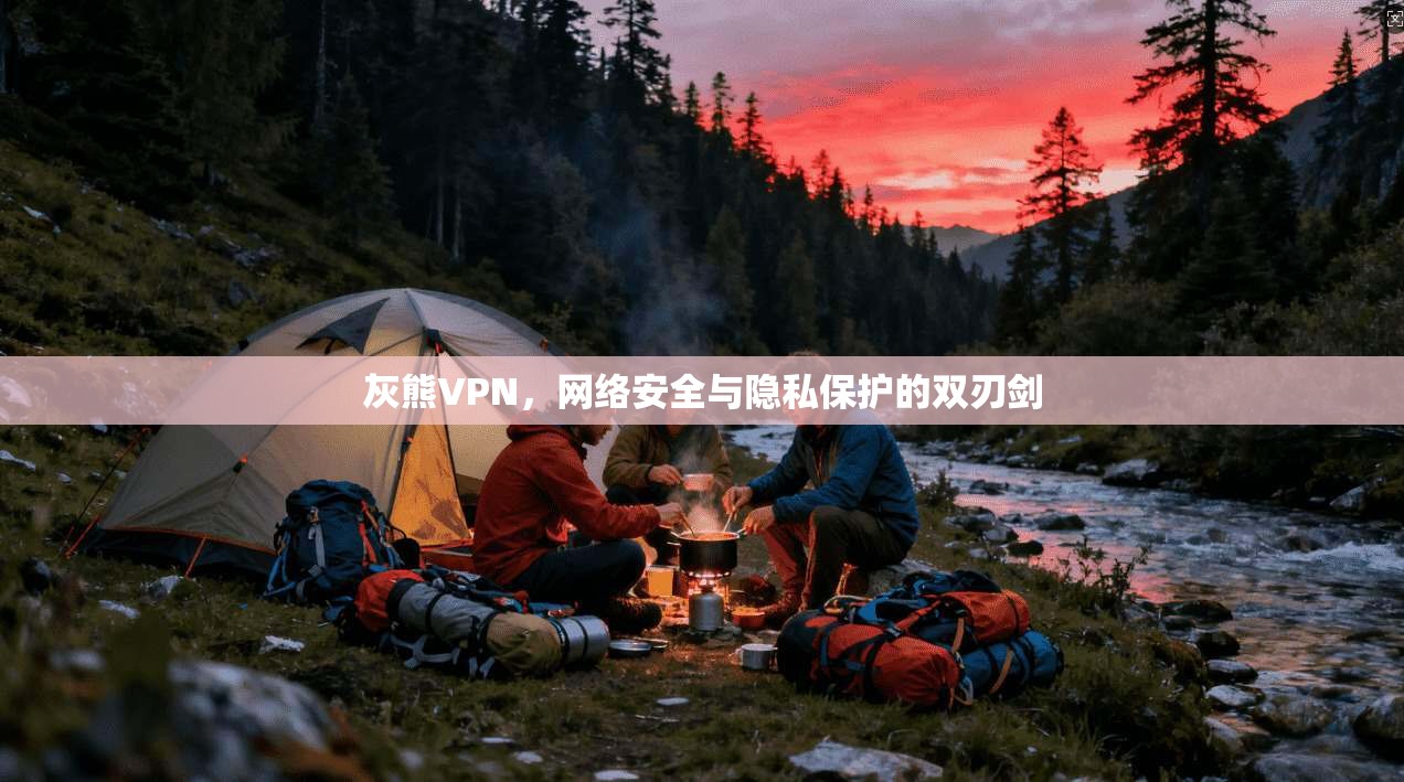 灰熊VPN，网络安全与隐私保护的双刃剑