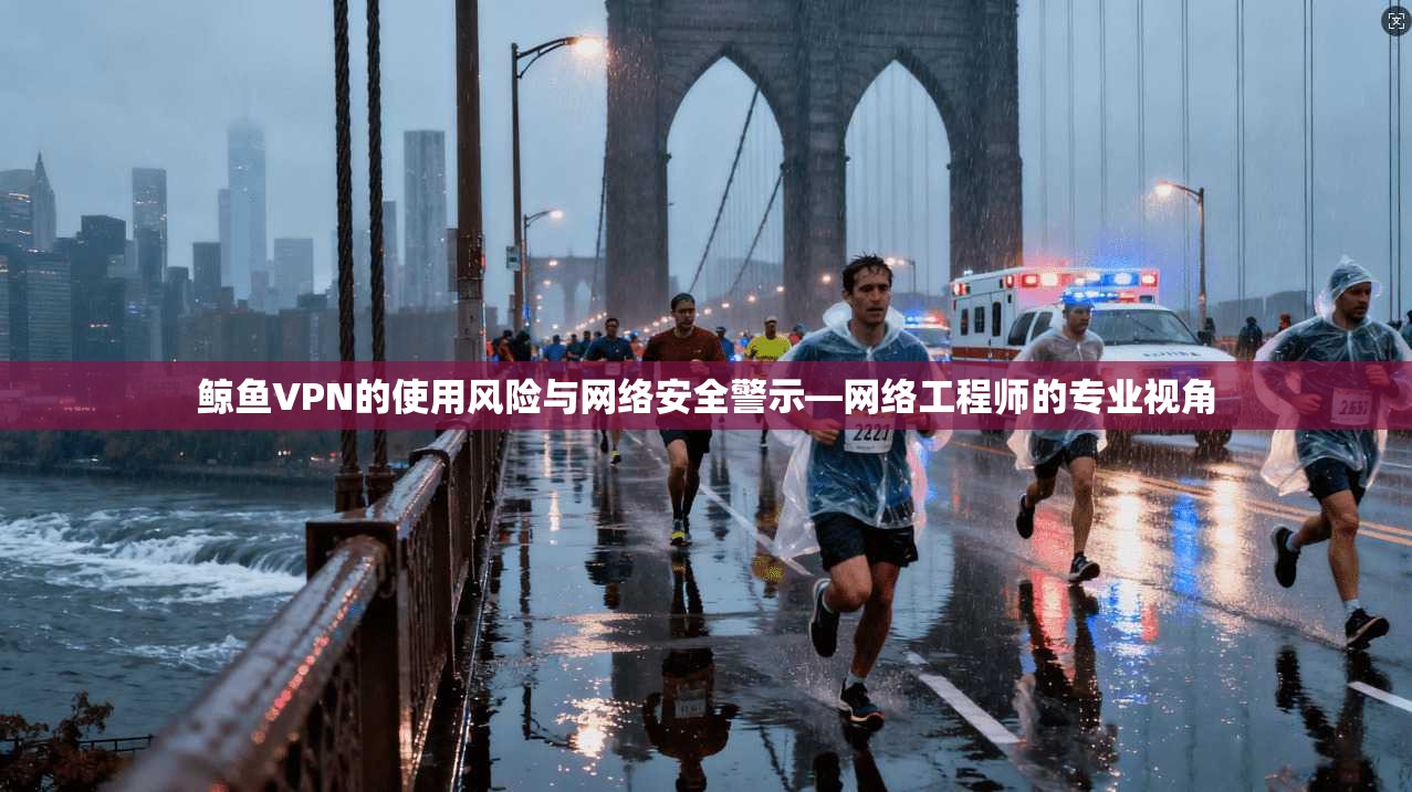 鲸鱼VPN的使用风险与网络安全警示—网络工程师的专业视角