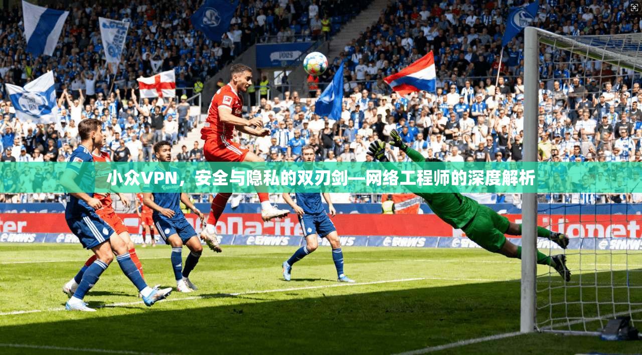 小众VPN，安全与隐私的双刃剑—网络工程师的深度解析
