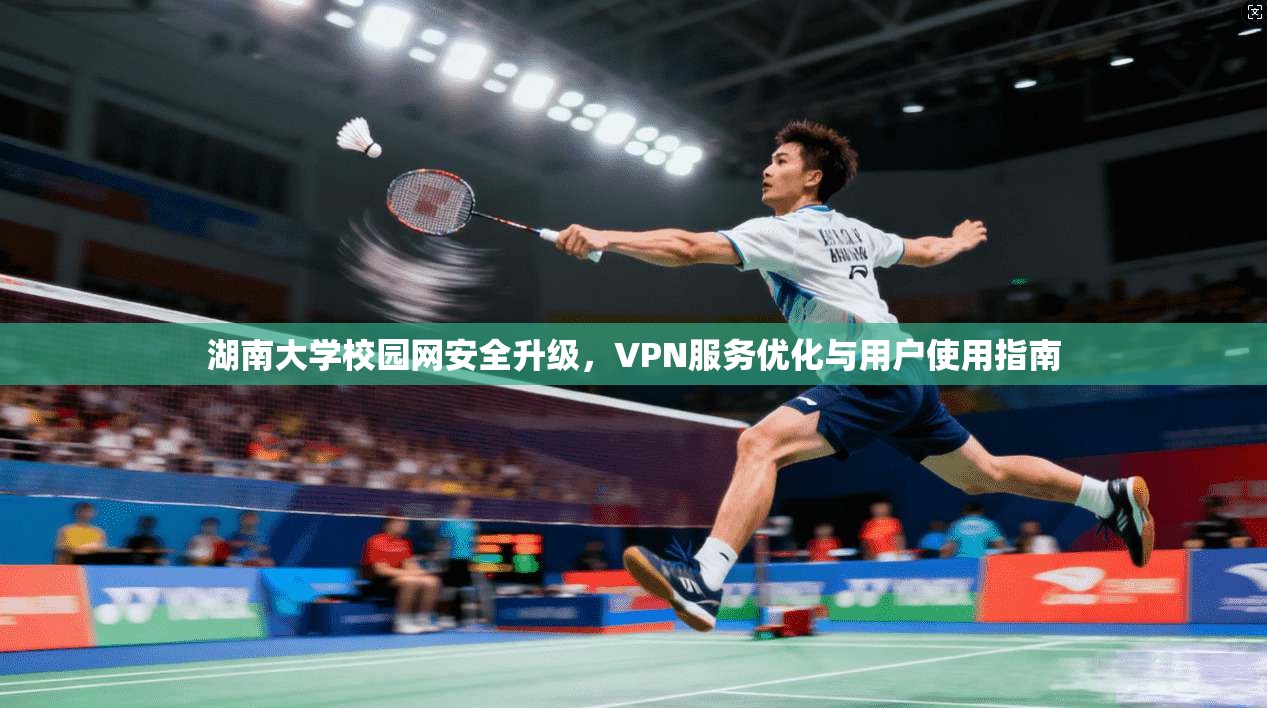 湖南大学校园网安全升级，VPN服务优化与用户使用指南
