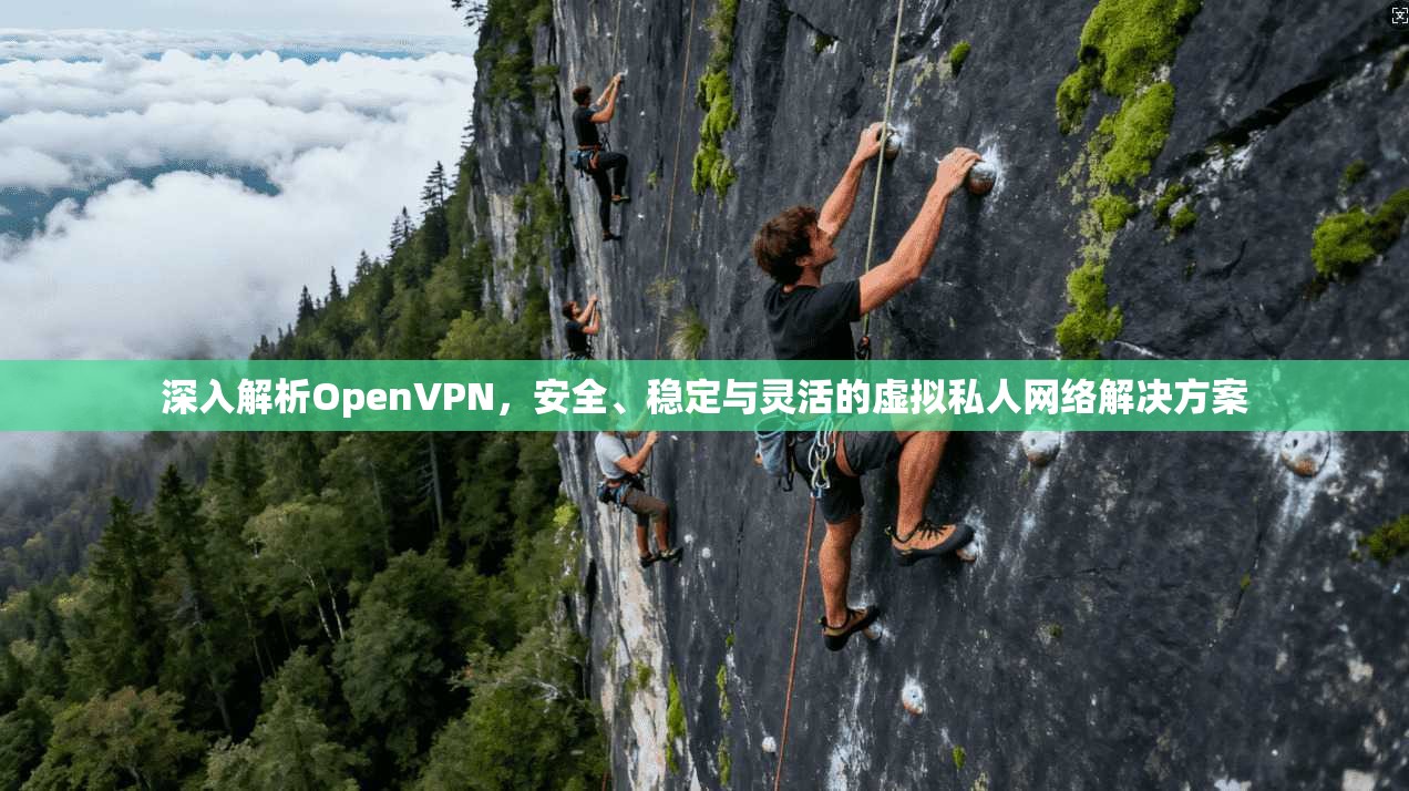 深入解析OpenVPN，安全、稳定与灵活的虚拟私人网络解决方案