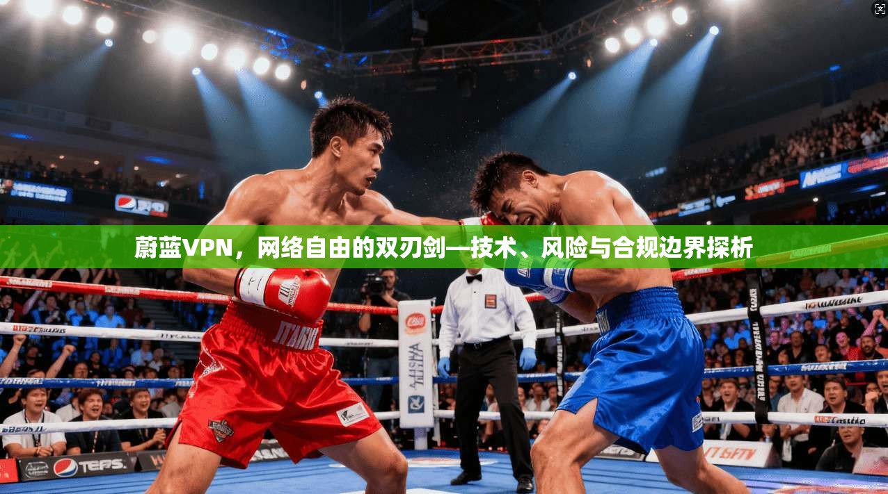 蔚蓝VPN，网络自由的双刃剑—技术、风险与合规边界探析