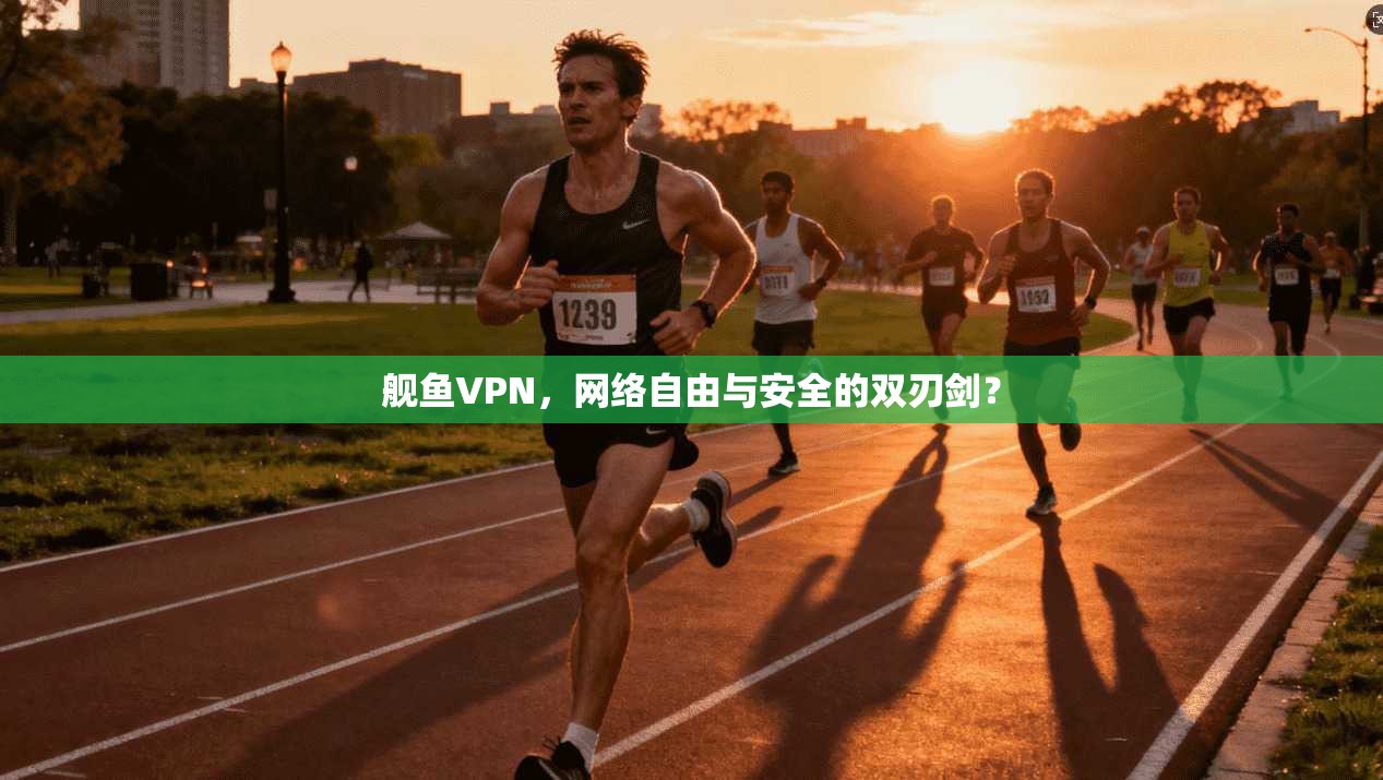 舰鱼VPN，网络自由与安全的双刃剑？