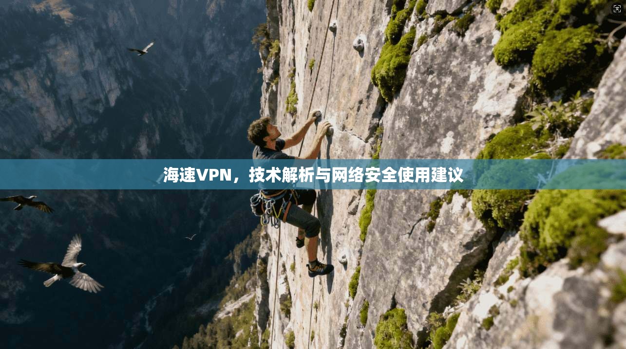 海速VPN，技术解析与网络安全使用建议