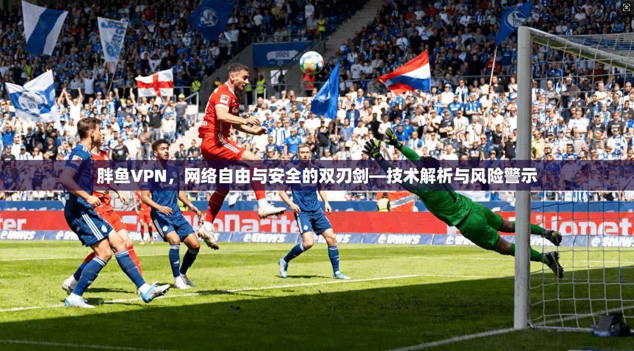 胖鱼VPN，网络自由与安全的双刃剑—技术解析与风险警示