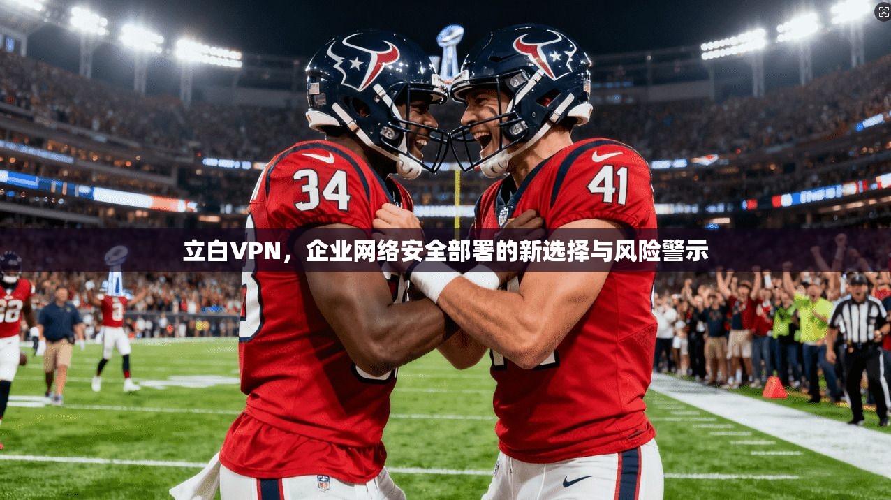 立白VPN，企业网络安全部署的新选择与风险警示