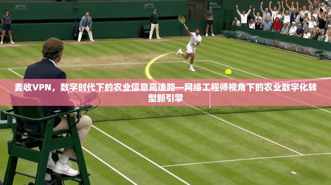 麦收VPN，数字时代下的农业信息高速路—网络工程师视角下的农业数字化转型新引擎