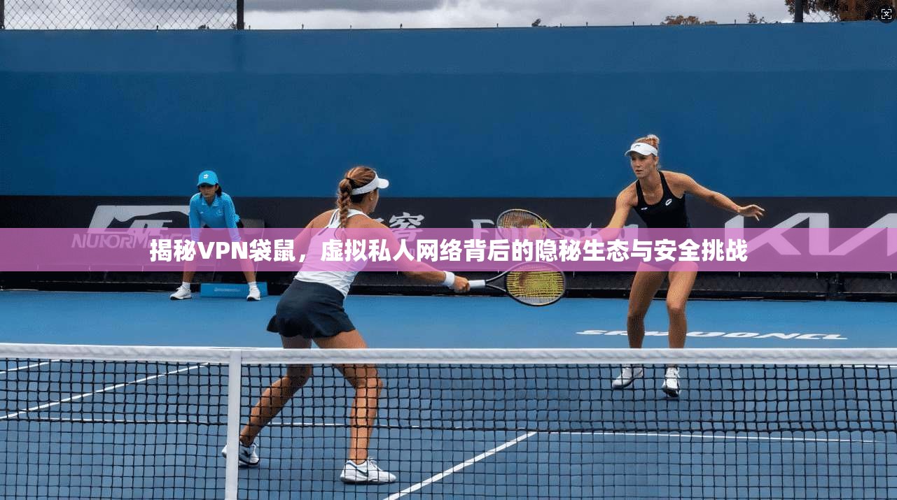 揭秘VPN袋鼠，虚拟私人网络背后的隐秘生态与安全挑战