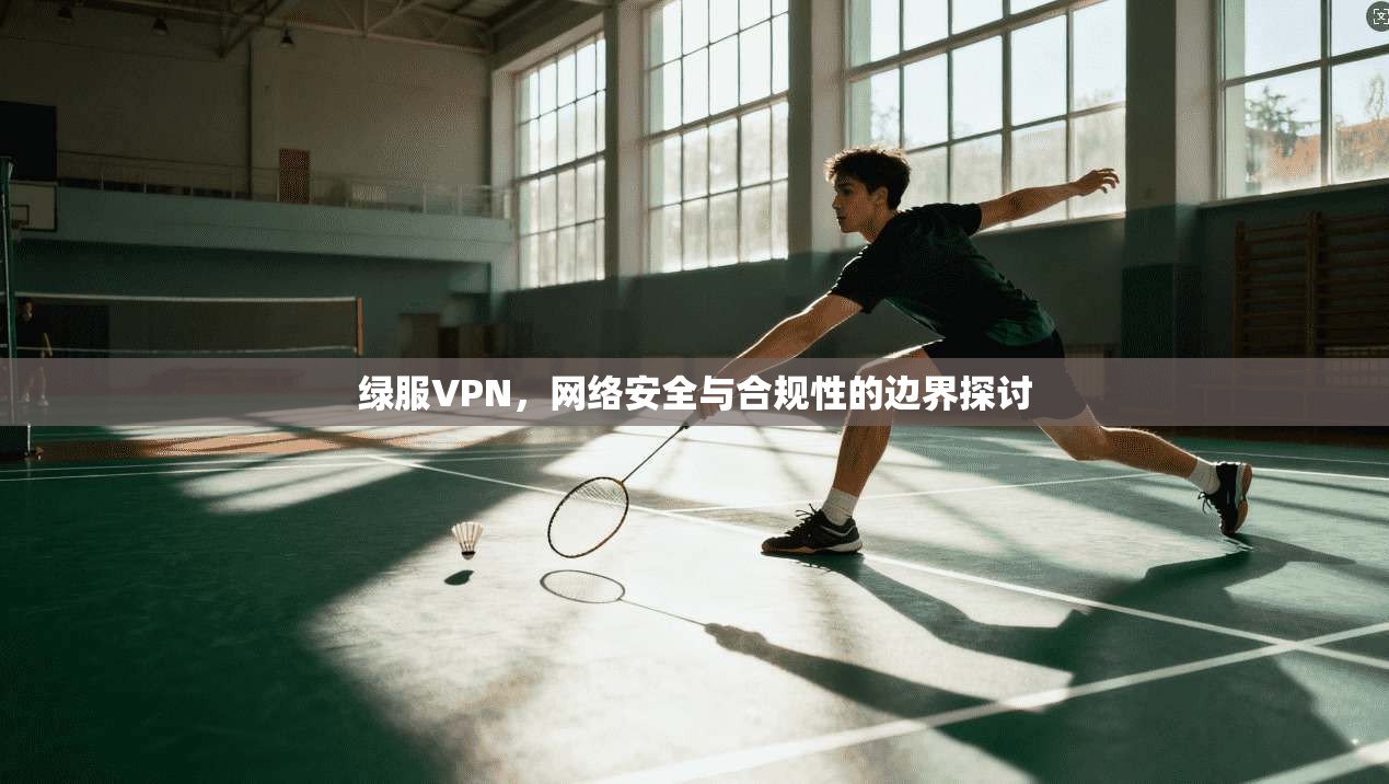 绿服VPN，网络安全与合规性的边界探讨
