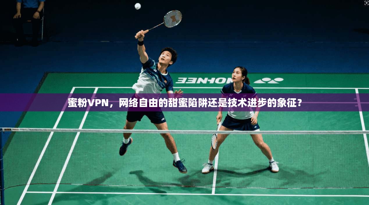 蜜粉VPN，网络自由的甜蜜陷阱还是技术进步的象征？