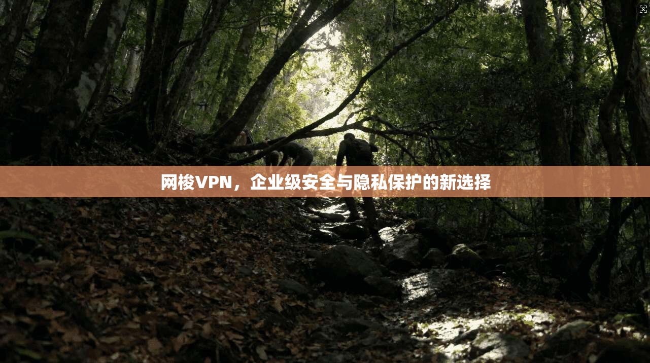网梭VPN，企业级安全与隐私保护的新选择