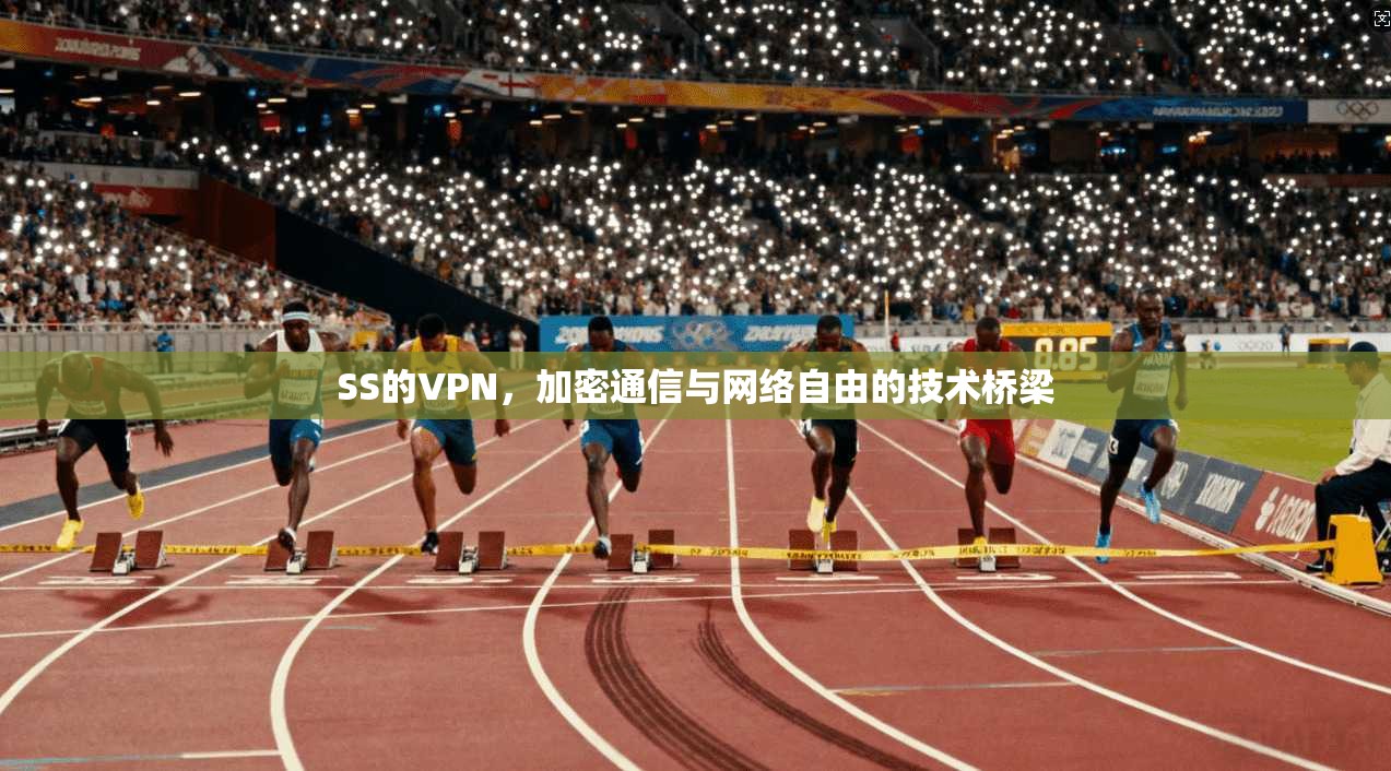 SS的VPN，加密通信与网络自由的技术桥梁
