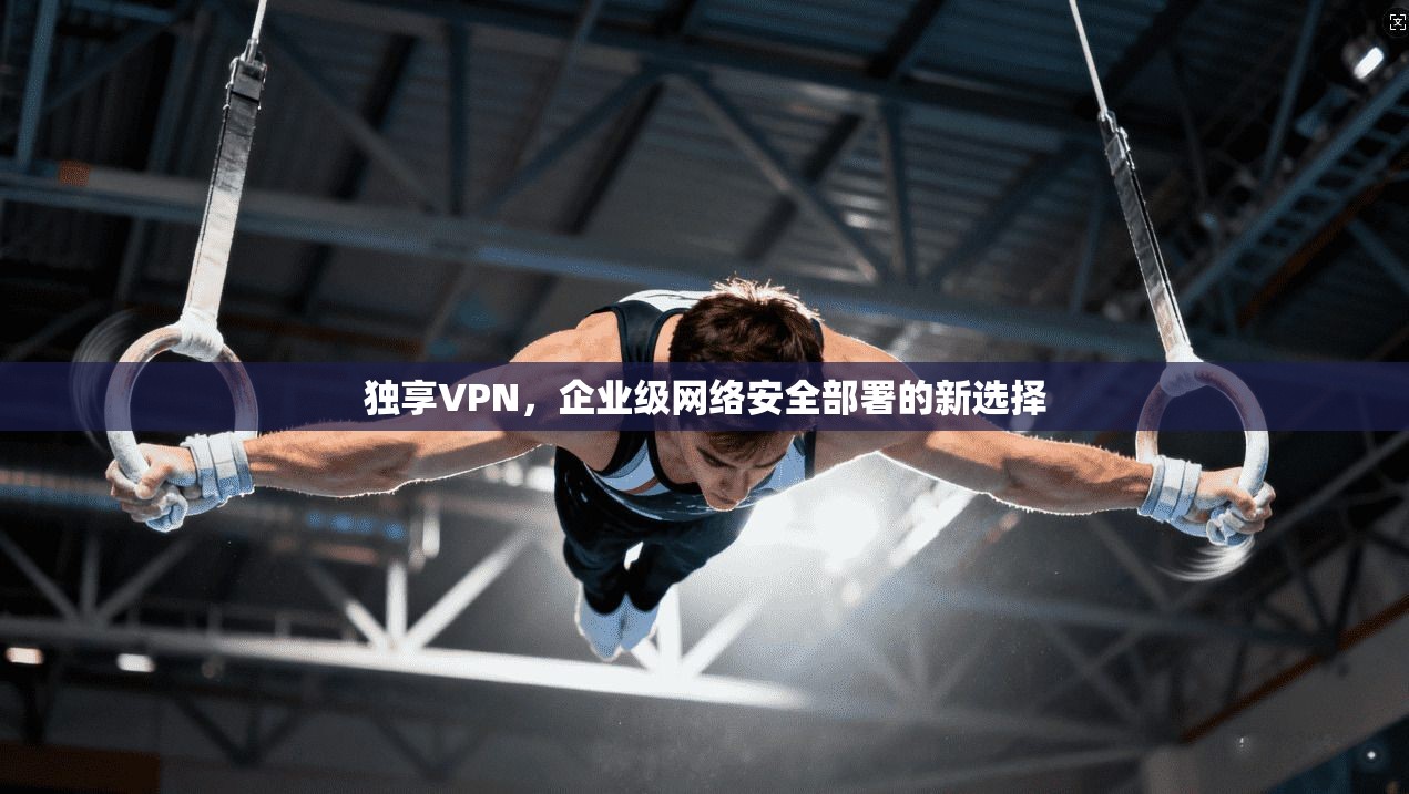 独享VPN，企业级网络安全部署的新选择