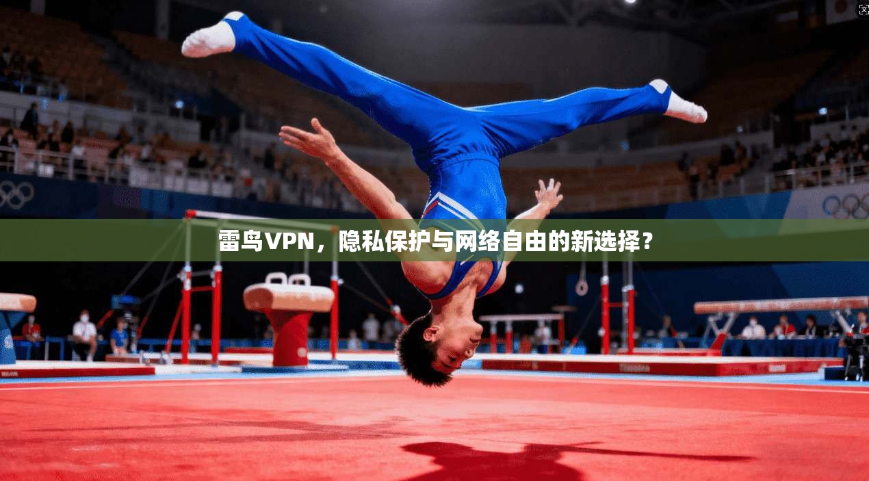 雷鸟VPN，隐私保护与网络自由的新选择？