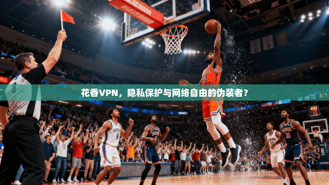 花香VPN,隐私保护与网络自由的伪装者?