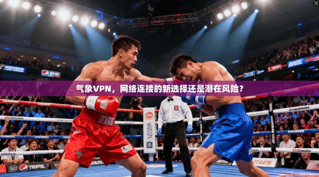 气象VPN，网络连接的新选择还是潜在风险？