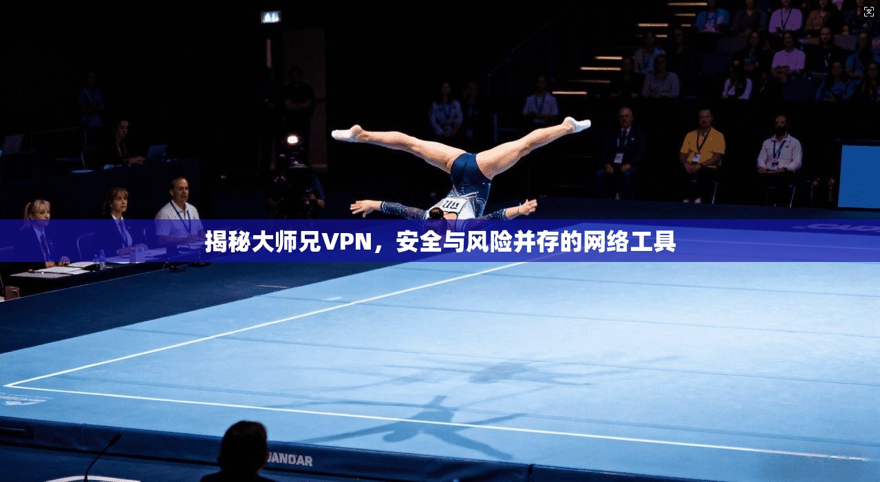 揭秘大师兄VPN，安全与风险并存的网络工具