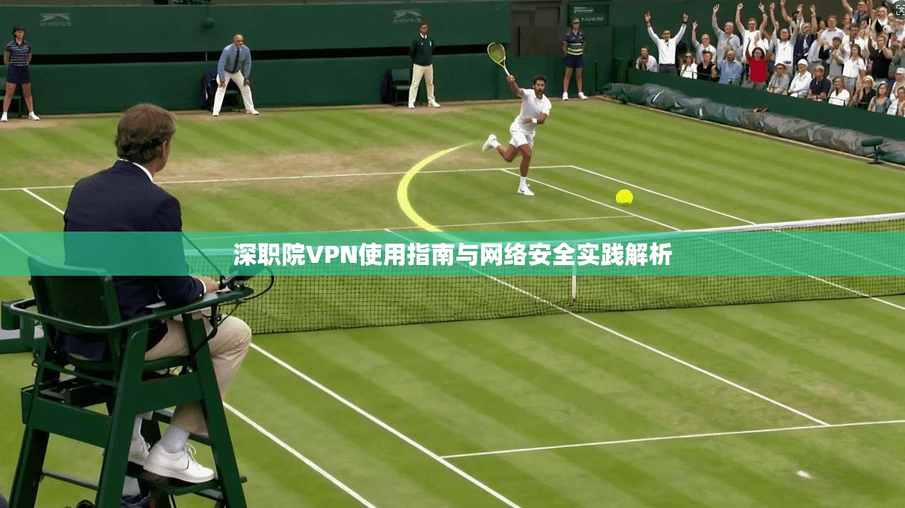 深职院VPN使用指南与网络安全实践解析