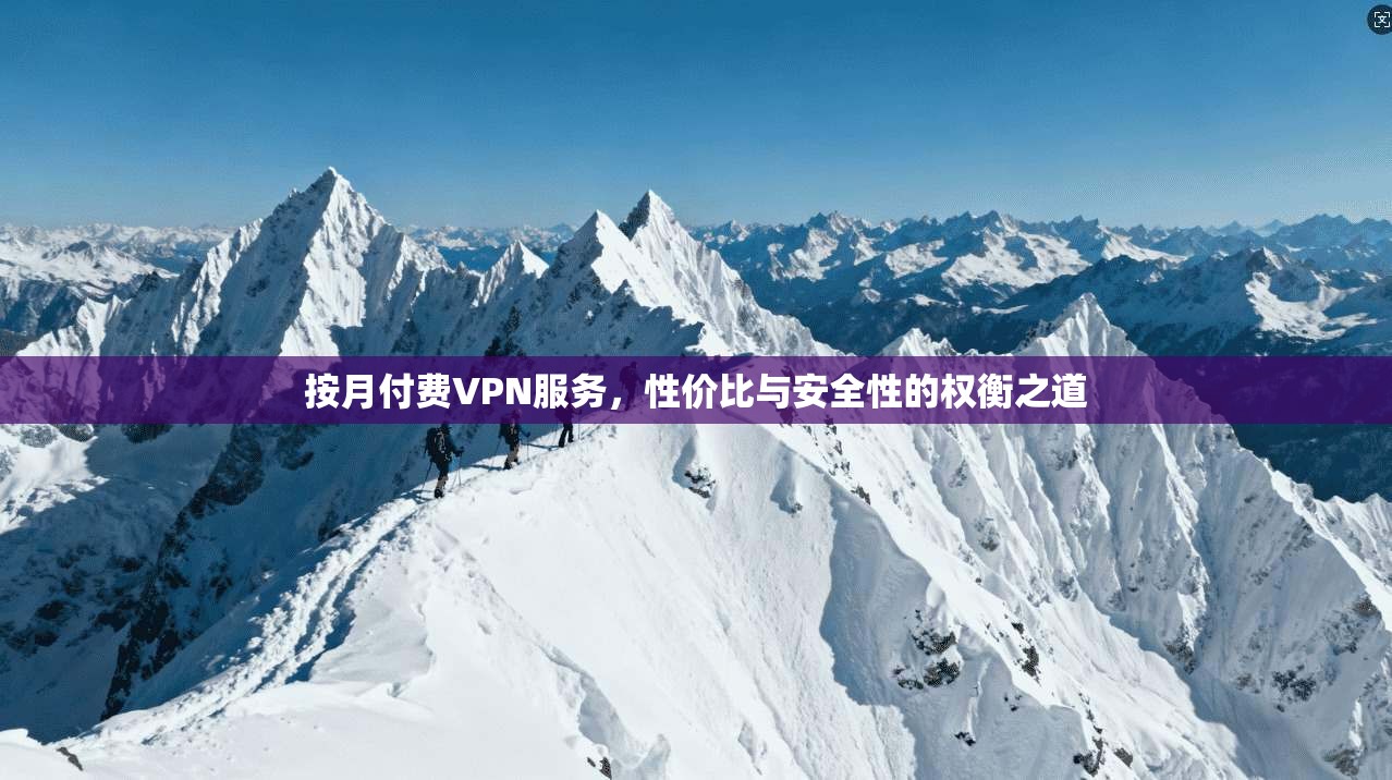 按月付费VPN服务，性价比与安全性的权衡之道