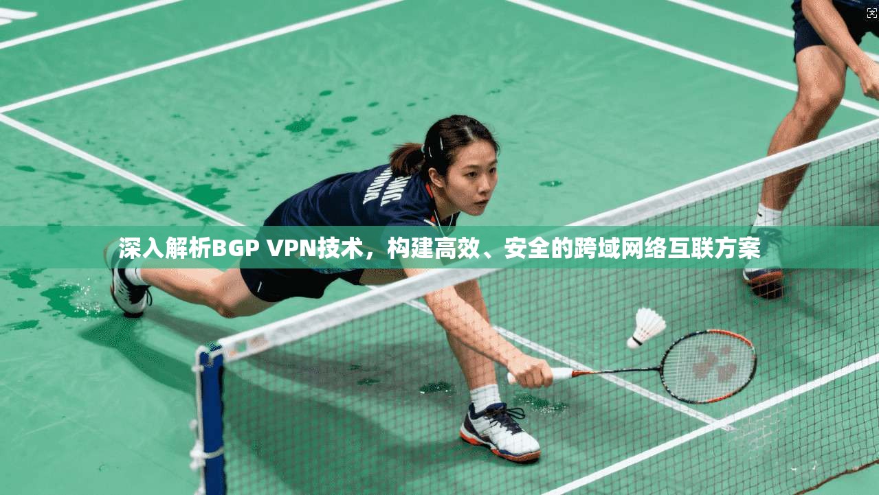 深入解析BGP VPN技术，构建高效、安全的跨域网络互联方案