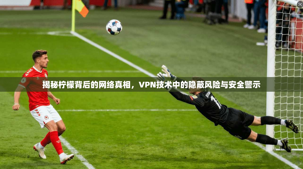 揭秘柠檬背后的网络真相，VPN技术中的隐蔽风险与安全警示
