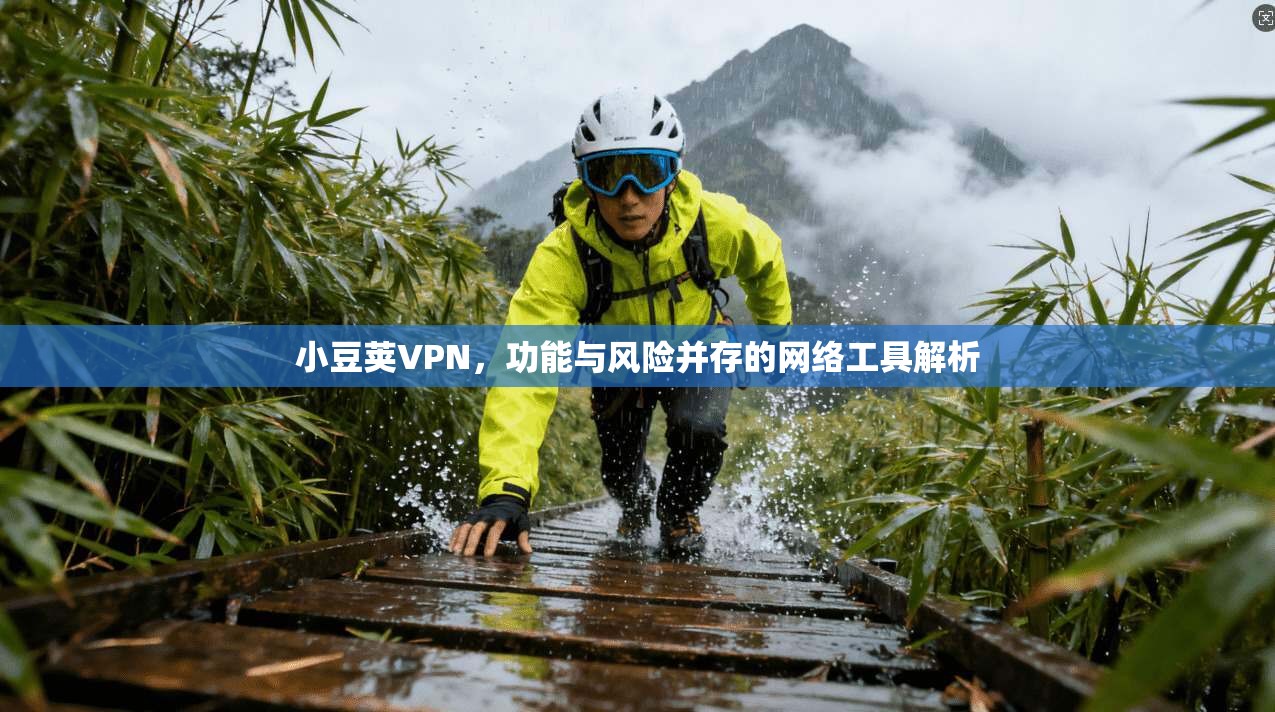 小豆荚VPN,功能与风险并存的网络工具解析