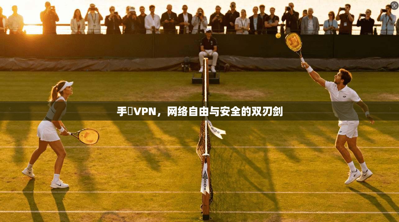 手檆VPN，网络自由与安全的双刃剑