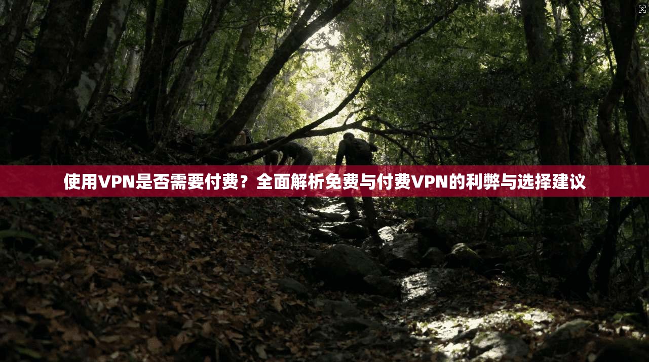 使用VPN是否需要付费？全面解析免费与付费VPN的利弊与选择建议