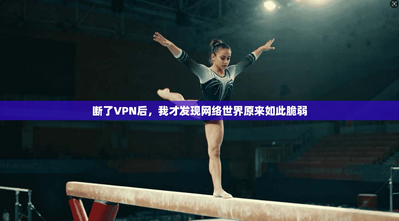 断了VPN后，我才发现网络世界原来如此脆弱