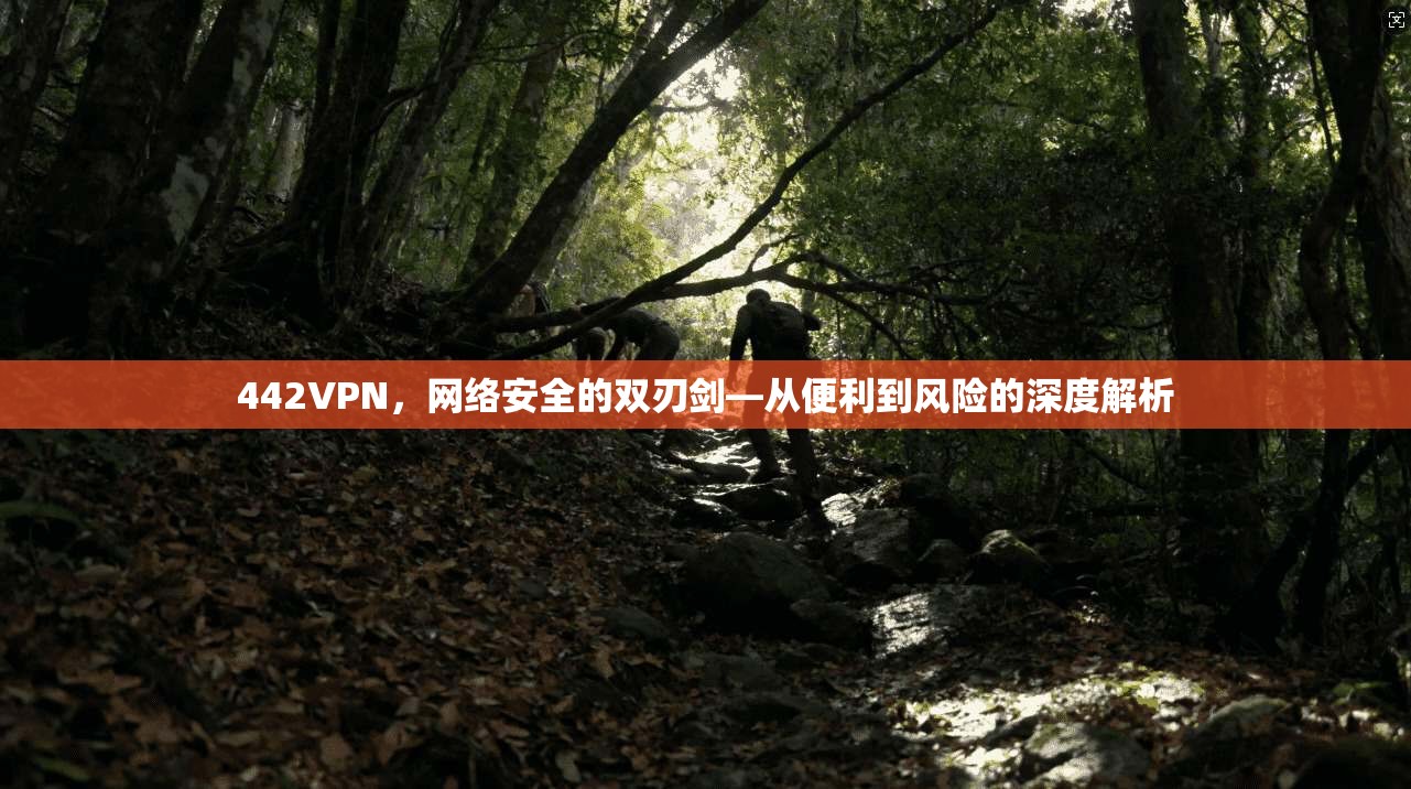 442VPN，网络安全的双刃剑—从便利到风险的深度解析