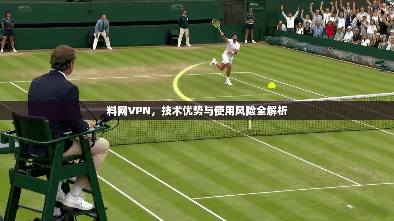 料网VPN,技术优势与使用风险全解析