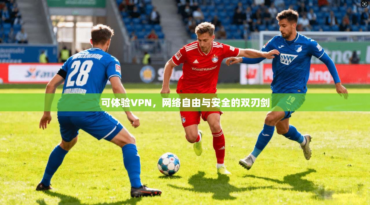 可体验VPN，网络自由与安全的双刃剑
