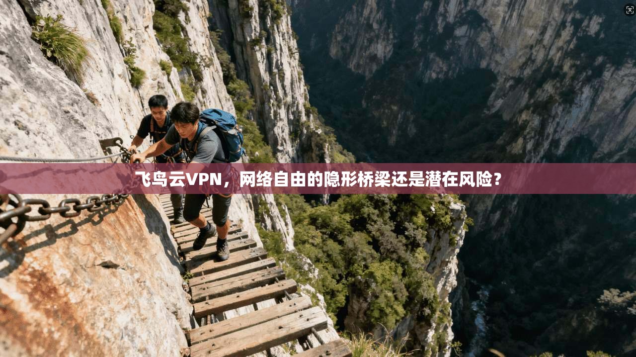 飞鸟云VPN，网络自由的隐形桥梁还是潜在风险？