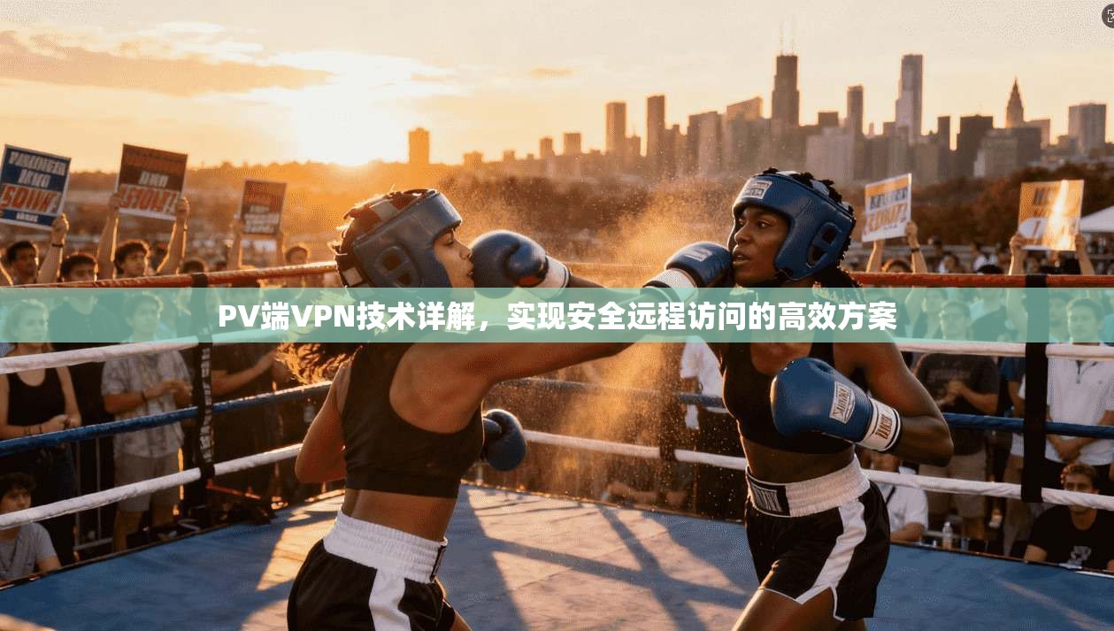 PV端VPN技术详解，实现安全远程访问的高效方案