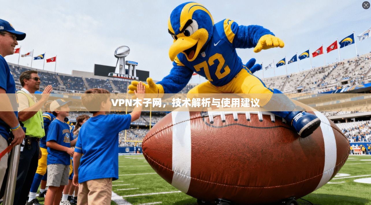 VPN木子网，技术解析与使用建议