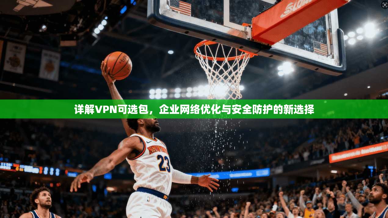 详解VPN可选包,企业网络优化与安全防护的新选择