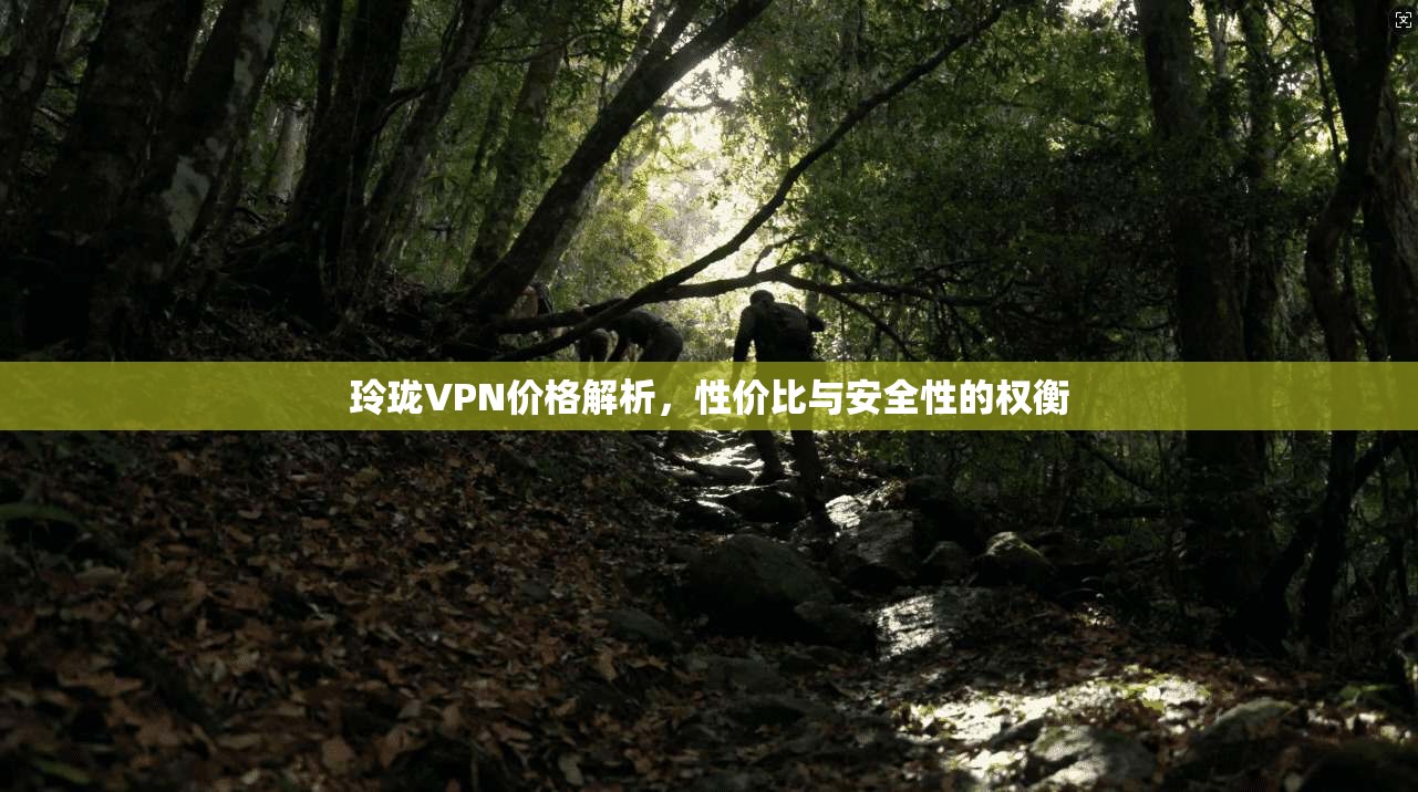 玲珑VPN价格解析，性价比与安全性的权衡