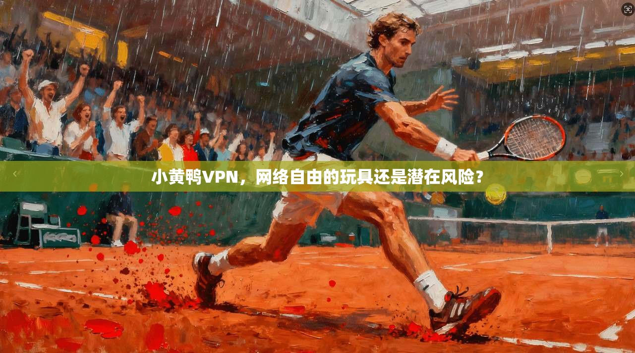 小黄鸭VPN，网络自由的玩具还是潜在风险？
