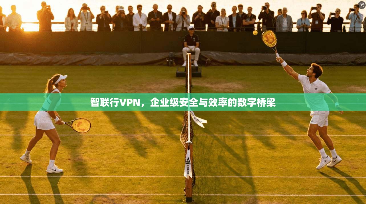 智联行VPN，企业级安全与效率的数字桥梁