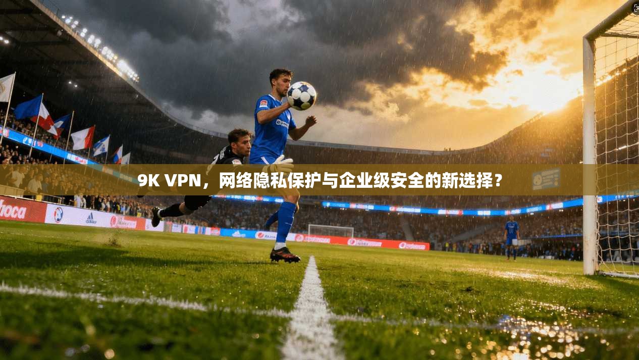 9K VPN，网络隐私保护与企业级安全的新选择？