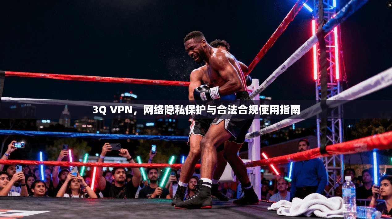 3Q VPN，网络隐私保护与合法合规使用指南