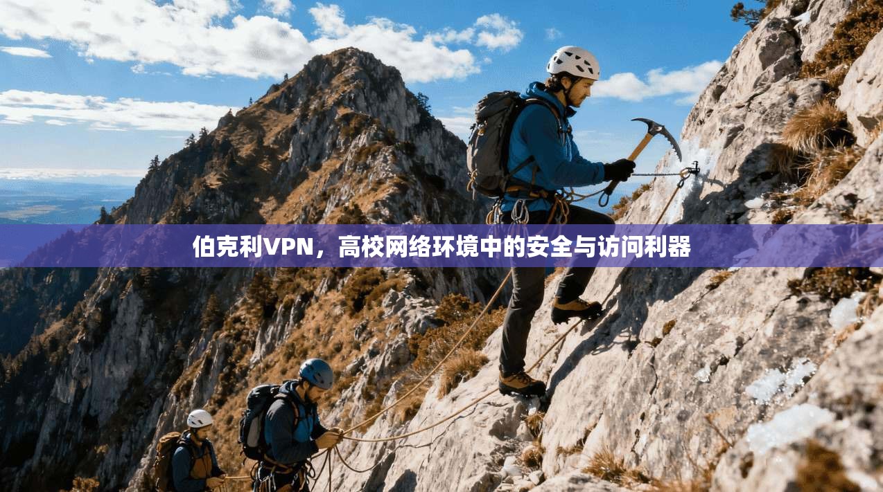 伯克利VPN，高校网络环境中的安全与访问利器