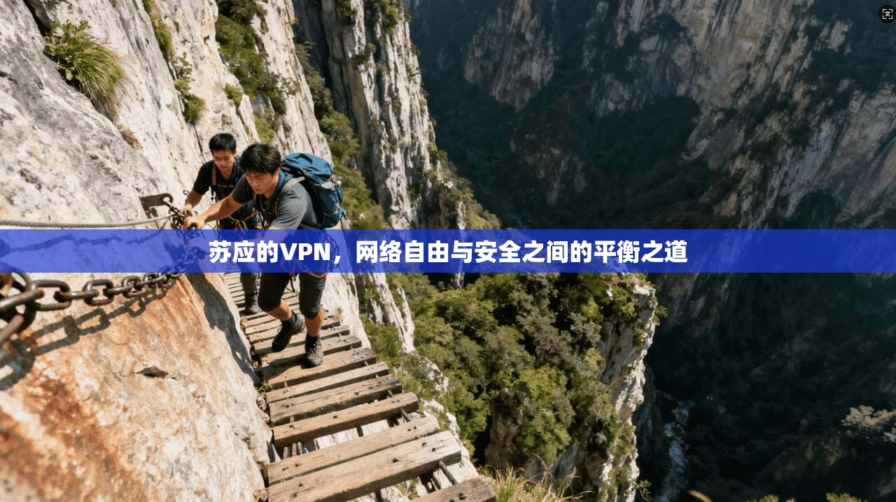 苏应的VPN，网络自由与安全之间的平衡之道