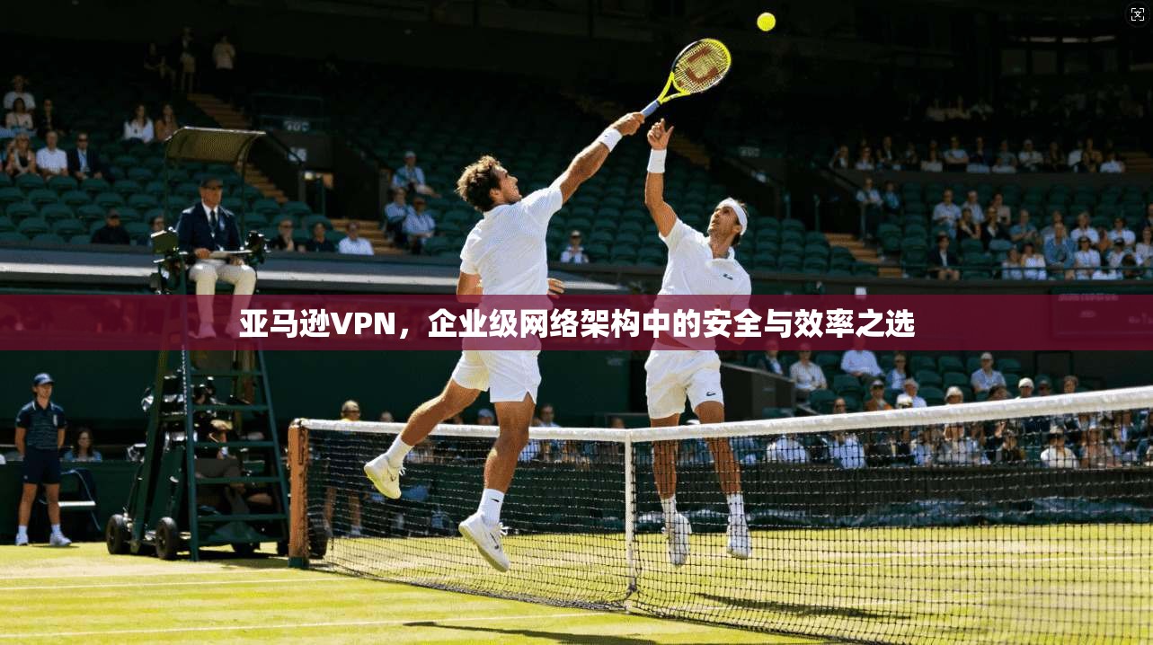 亚马逊VPN，企业级网络架构中的安全与效率之选