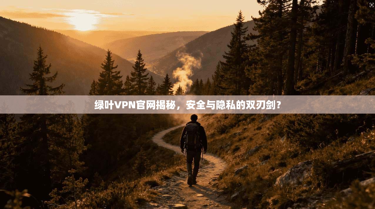 绿叶VPN官网揭秘，安全与隐私的双刃剑？