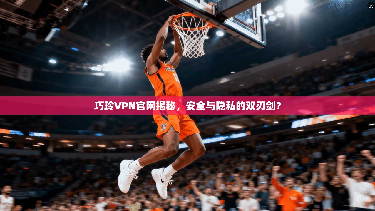 巧玲VPN官网揭秘，安全与隐私的双刃剑？
