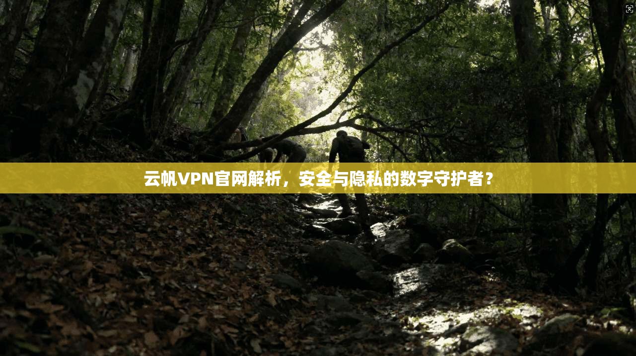 云帆VPN官网解析，安全与隐私的数字守护者？