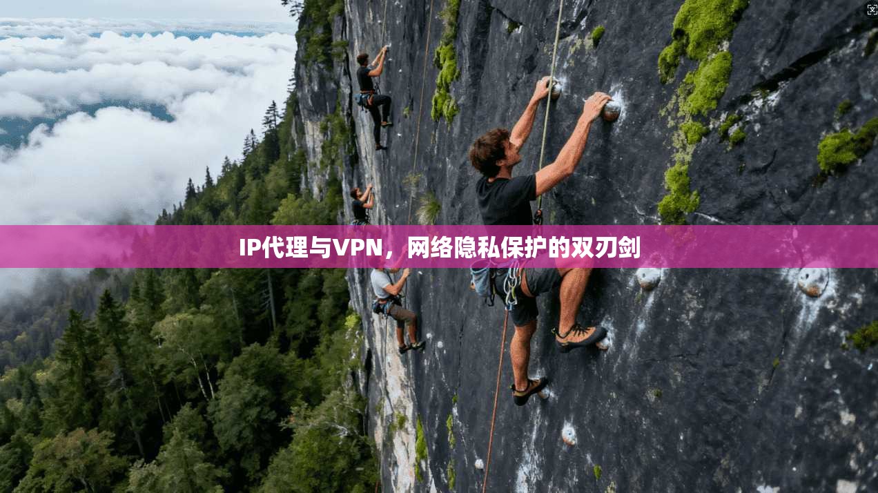 IP代理与VPN，网络隐私保护的双刃剑